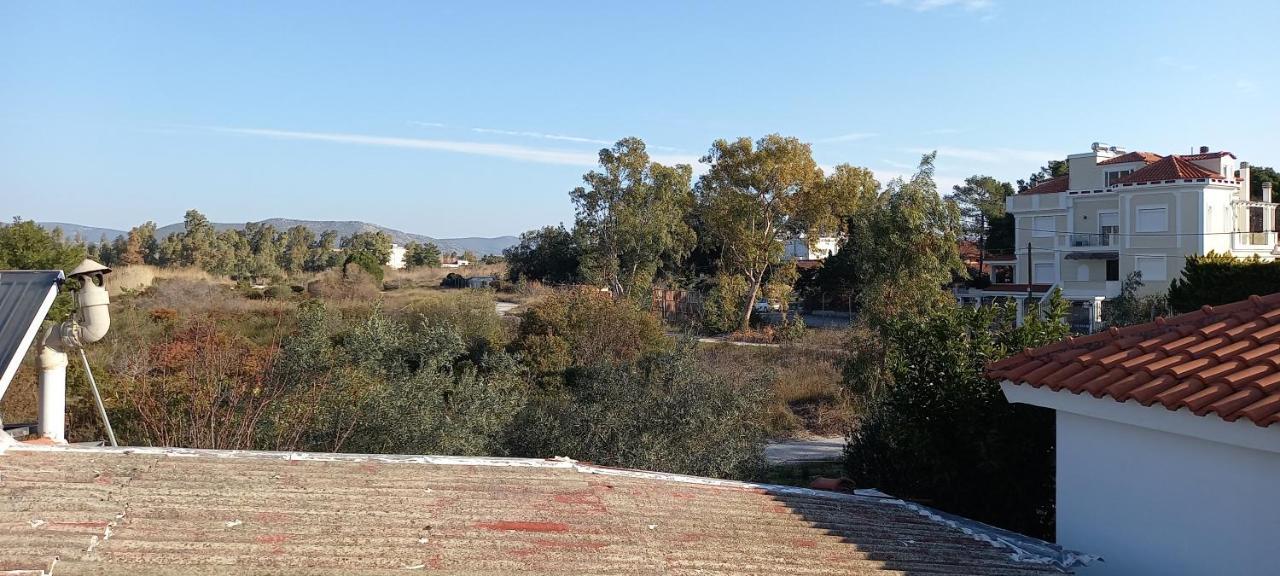 Elizas House Βίλα Νέα Μάκρη Εξωτερικό φωτογραφία