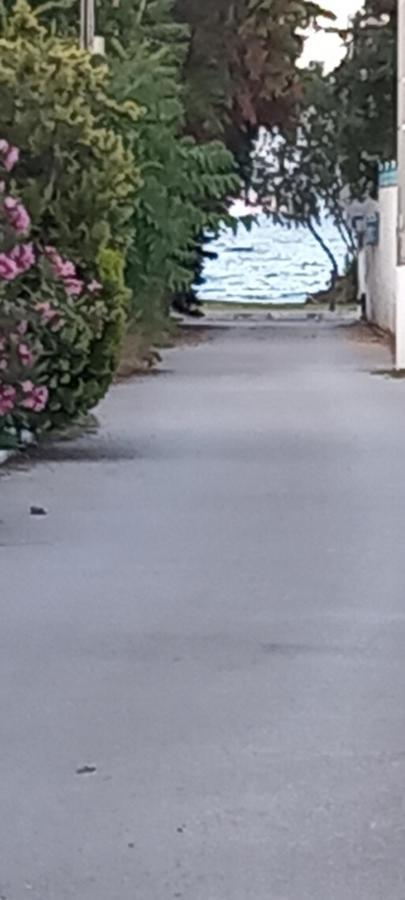Elizas House Βίλα Νέα Μάκρη Εξωτερικό φωτογραφία