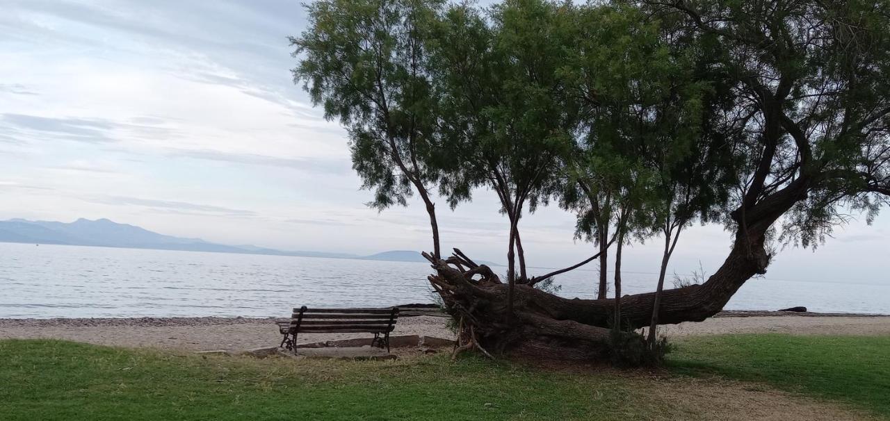 Elizas House Βίλα Νέα Μάκρη Εξωτερικό φωτογραφία